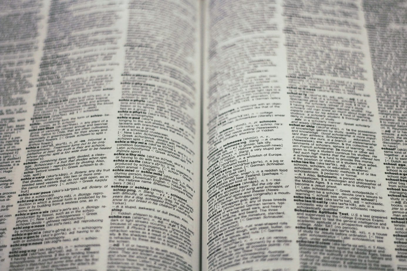 Bridging Language Barriers: Exploring Translation Services and Their Impact