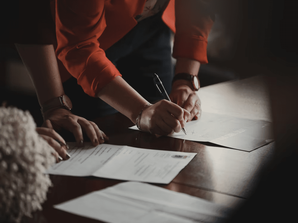 How to Find the Top Professional Translator: What to Look For