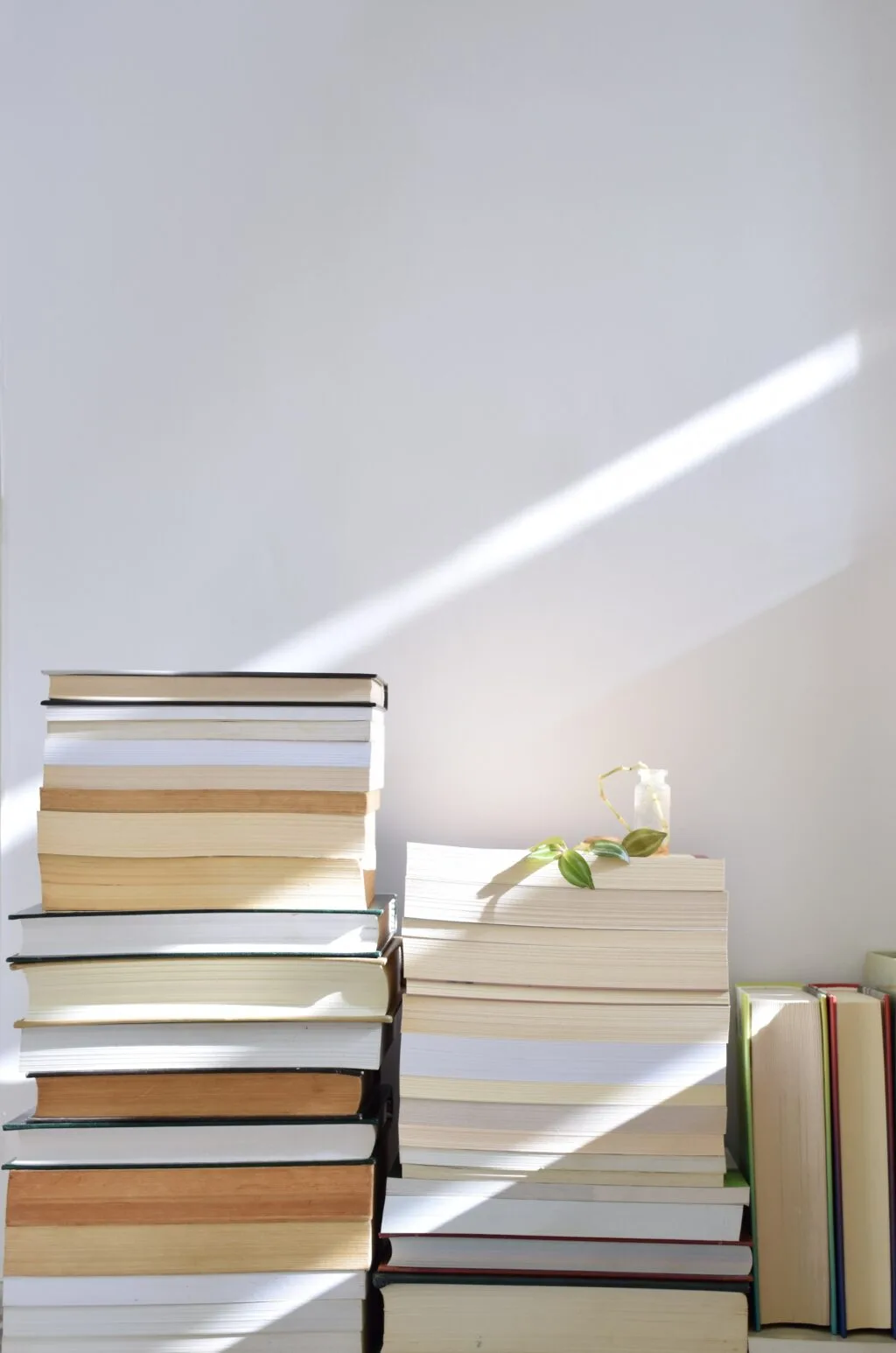 How-To-Navigate-the-Publishing-Process-from-Manuscript-to-Bookshelf-002