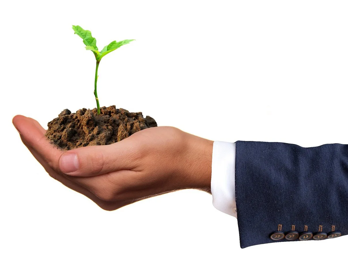 seedling for business