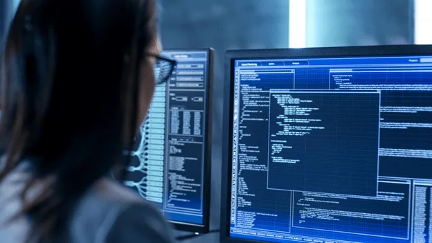 IT experts