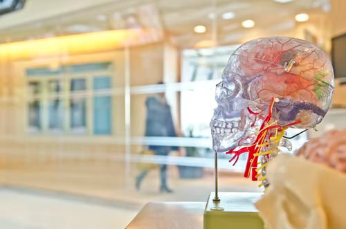 Top Marketing Strategies to Apply When Advertising Services from the Medical Sector