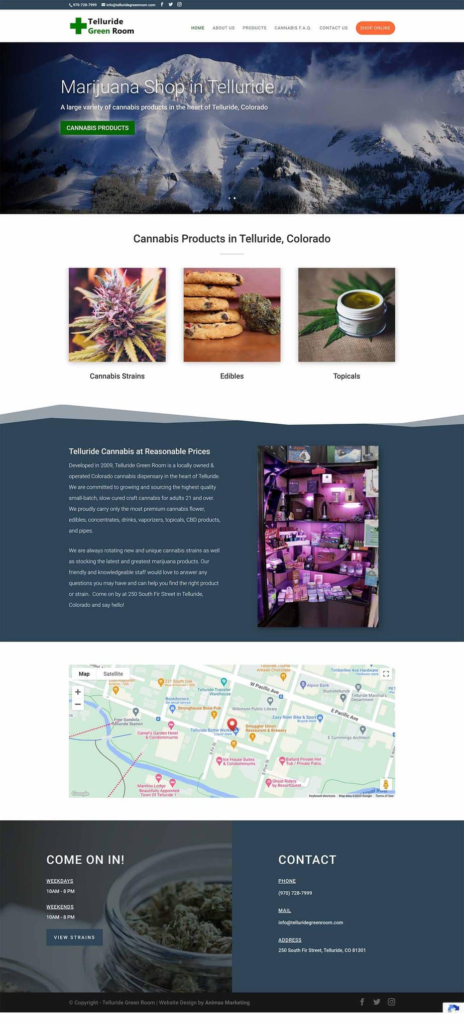 Telluride Green Room — Animas Marketing portfolio